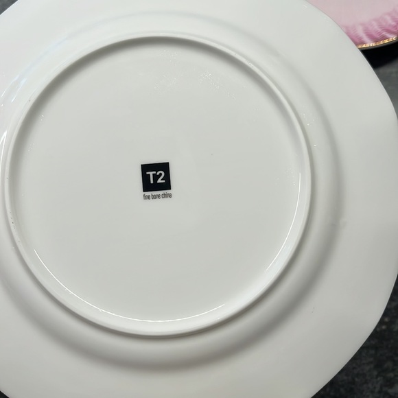 T2 gigantic cup/plates set, NWOT - Picture 6 of 8